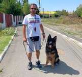 DRESAJ Canin Buzău