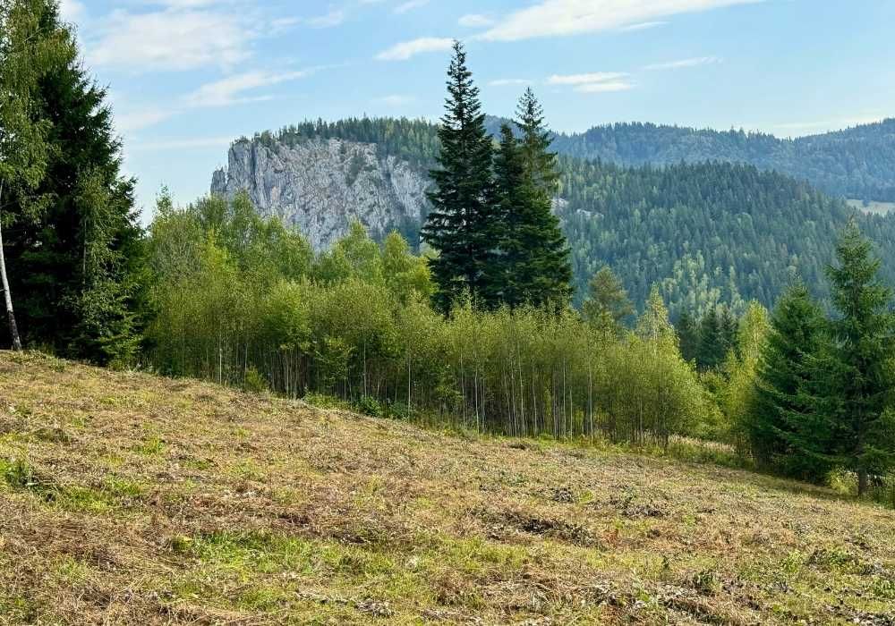 Teren la Munte, Cheile Bicazului, cu vedere panoramică