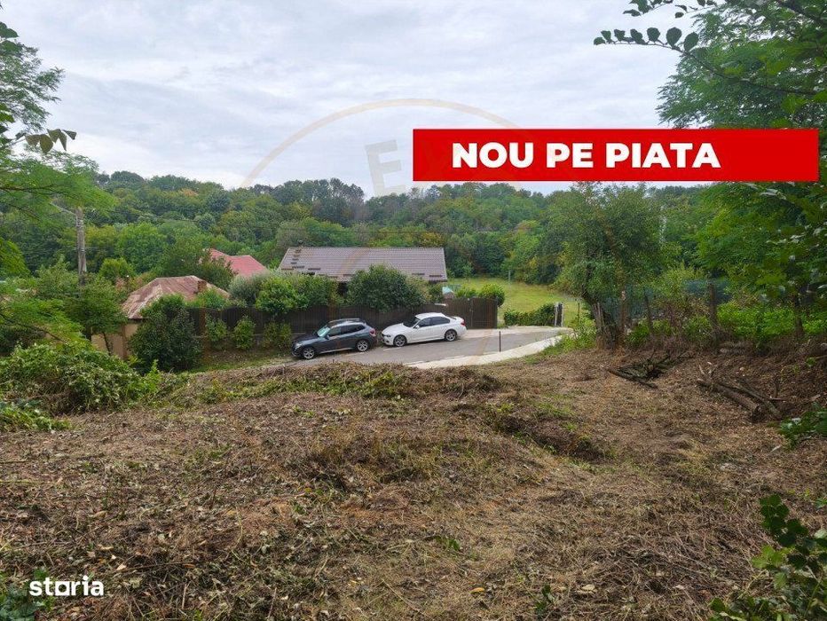 Teren 2552 mp Mosoaia Hintesti -Strada  Basangesti