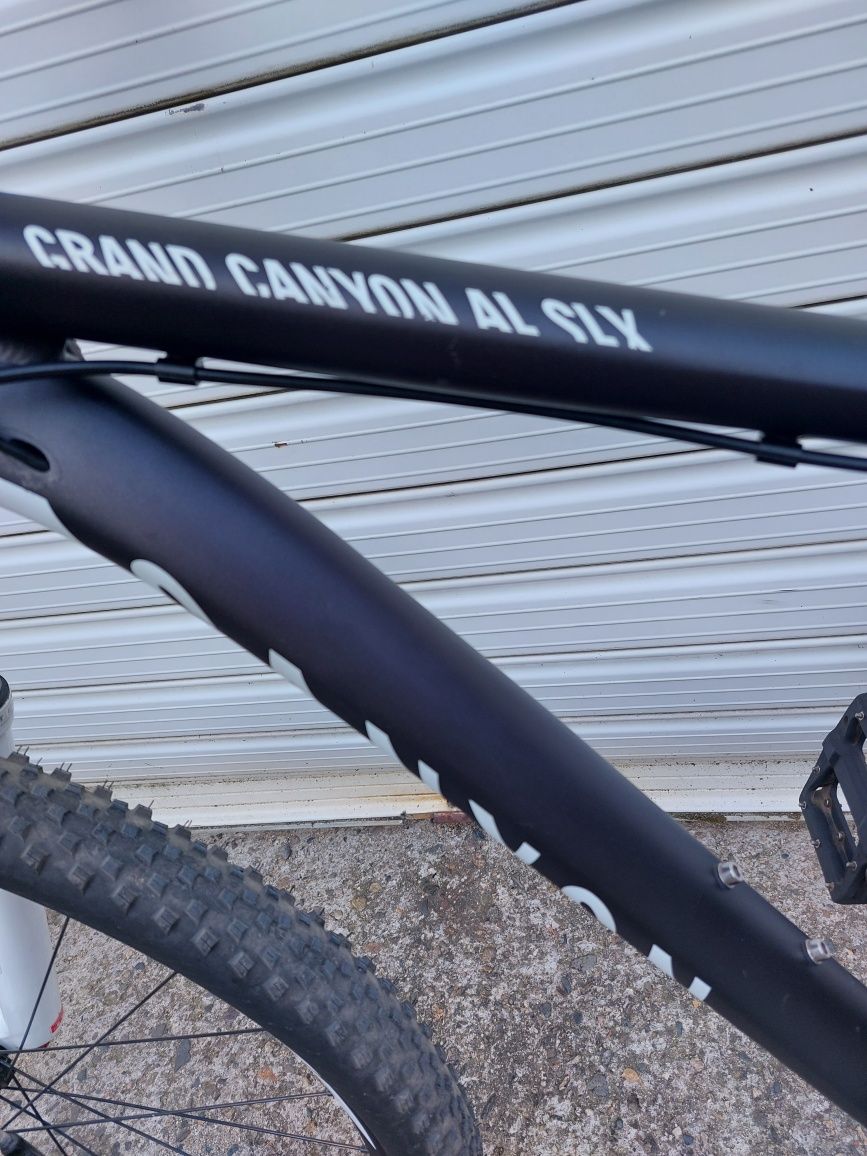 Canyon grand canyon 9.9 al slx 29"- L  trek Scott specialized cube