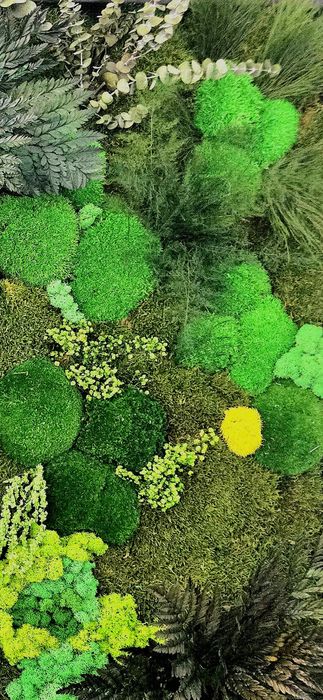 Panou plante stabilizate naturale