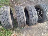 Vand anvelope Iarna 205 55 r16