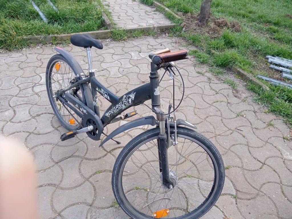 Bicicleta Pegasus