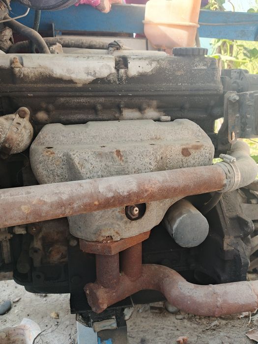 Mator antfrezda yogʻ olmaydi