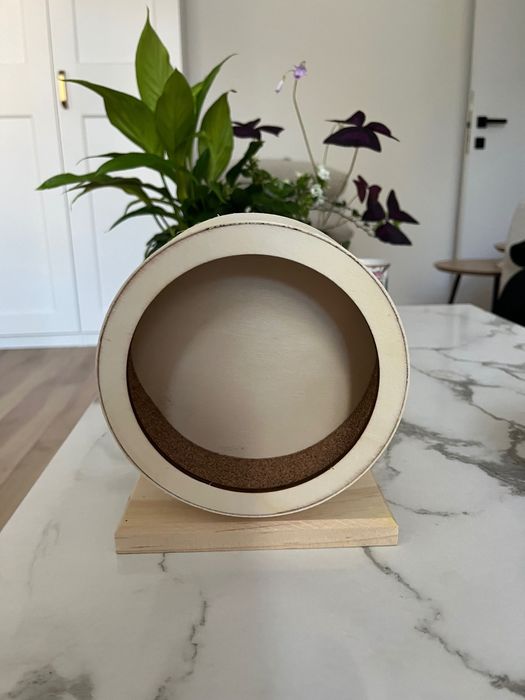 Roata pentru hamster pitic