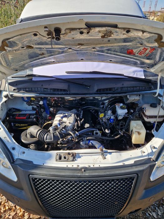 Gazel fermer sotiladi