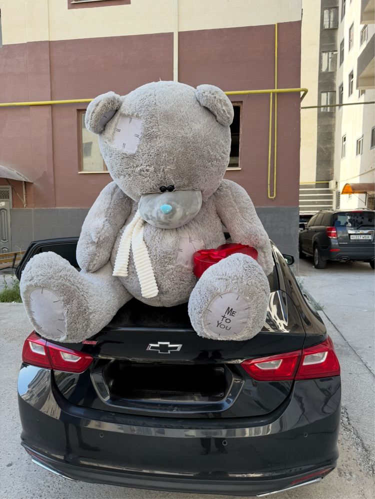 2  metrlik Teddy