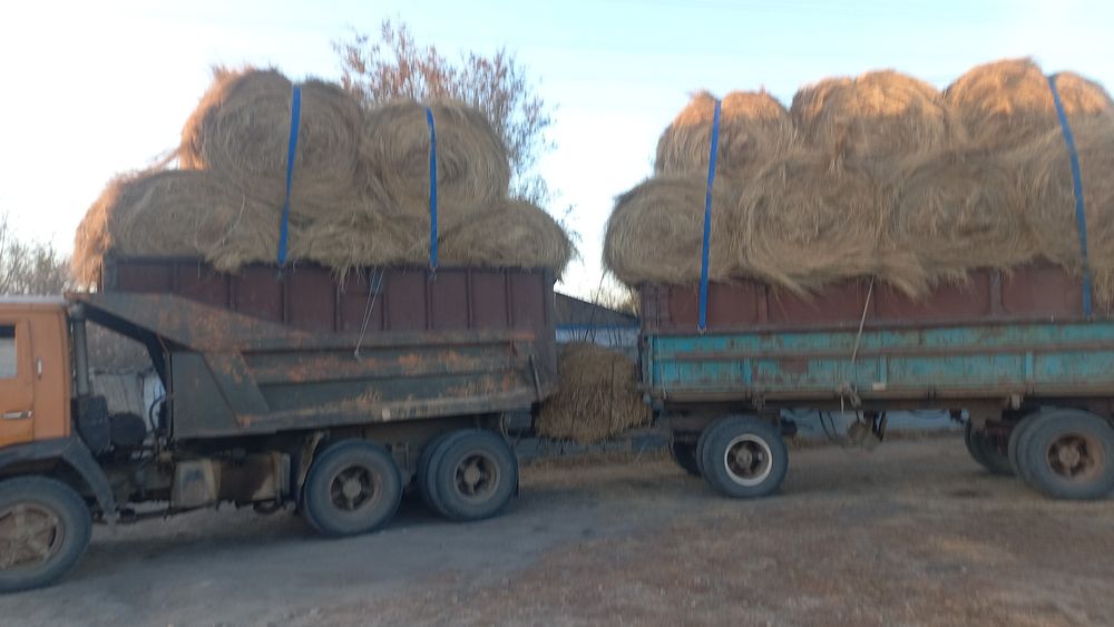 Продам сено Рулоны 350кг