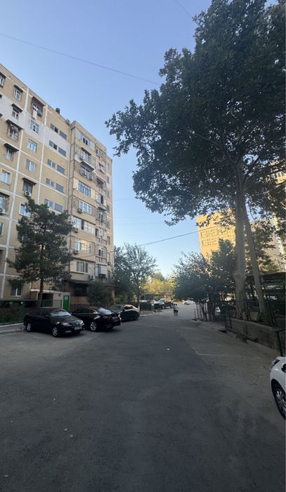 3/3/9 Паркентский базар! Массив риёзий!ресторан Уммон