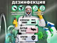 Дезинфекция/ Уничтожение клопов/тараканов/клещей/грызунов Дизенфекция