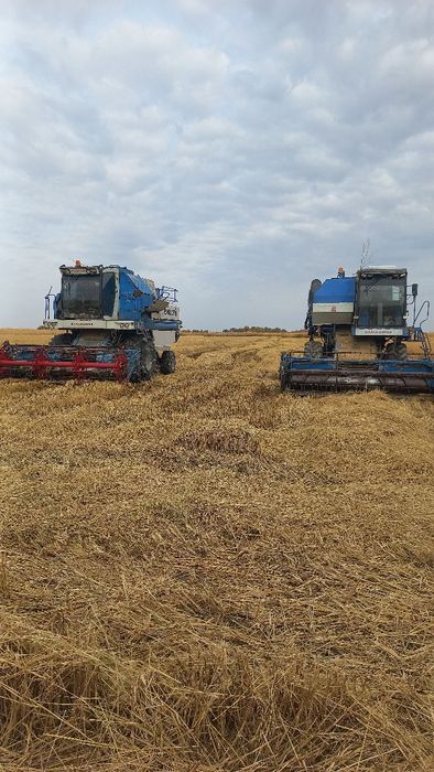 Енисей канбайинлар сотилади