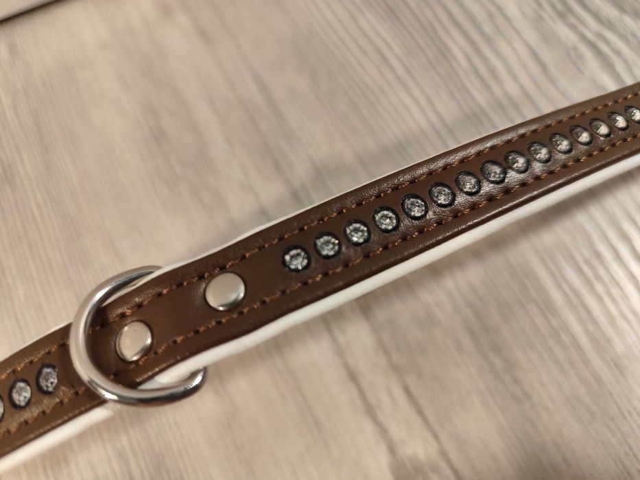 Zgarda caine catelus mic, bichon, noua HUNTER