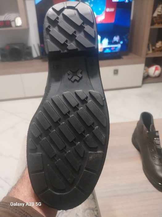Bocanci ch fier in bot,noii aduși din Spania