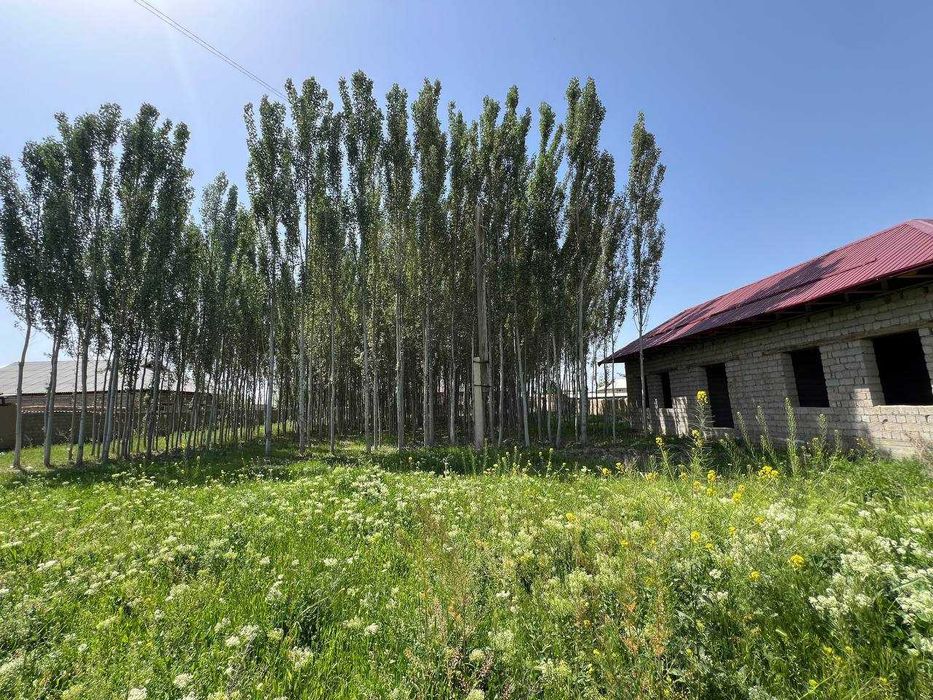 Uy va yer uchastkasi (kadastr hujjatlari mavjud)