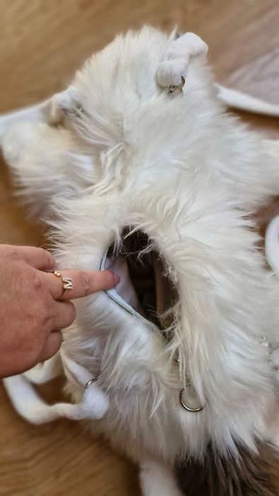 Rucsac "PISICUTA" , Ideal pentru copii