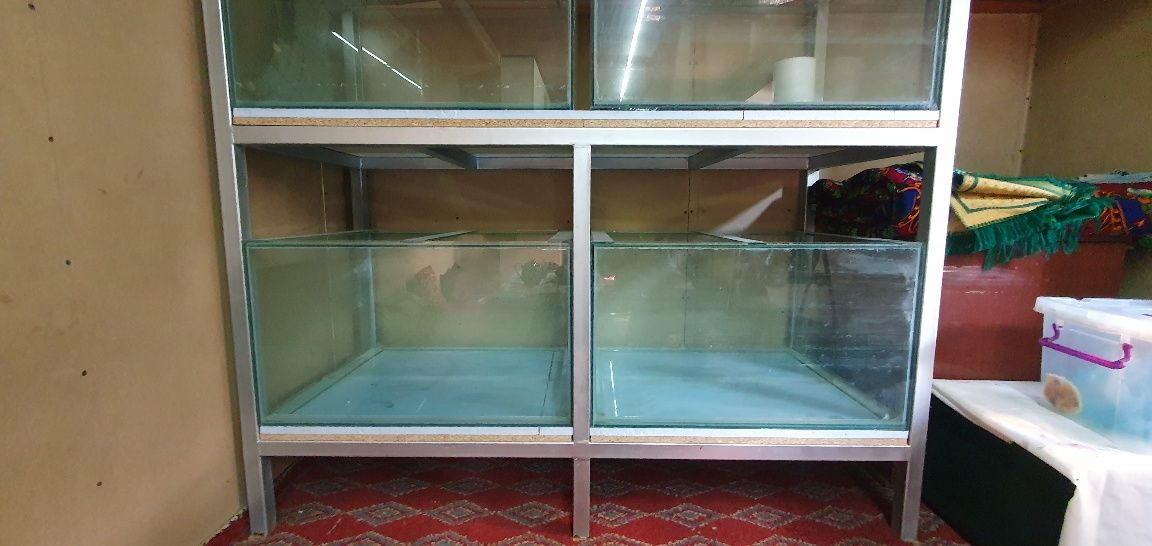 Akvariumlarni pastavkasi bilan sotaman