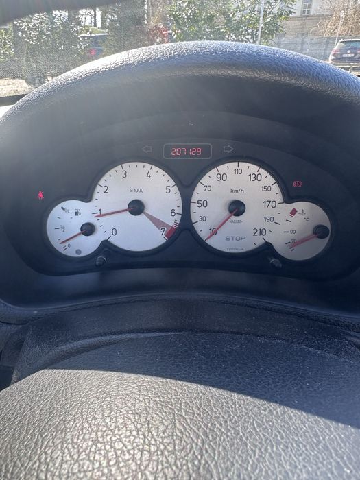 Peugeot      206