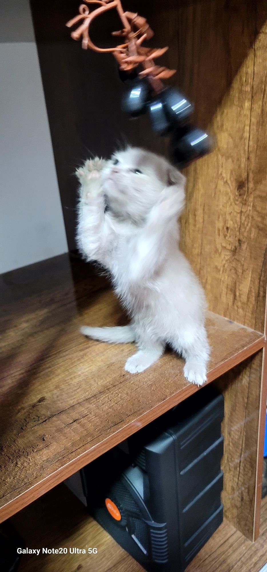 Скотч фол, страйт мушук