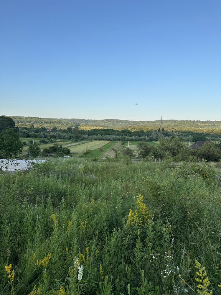 Teren de vanzare 2800 mp Valea Bradului Mihaesti