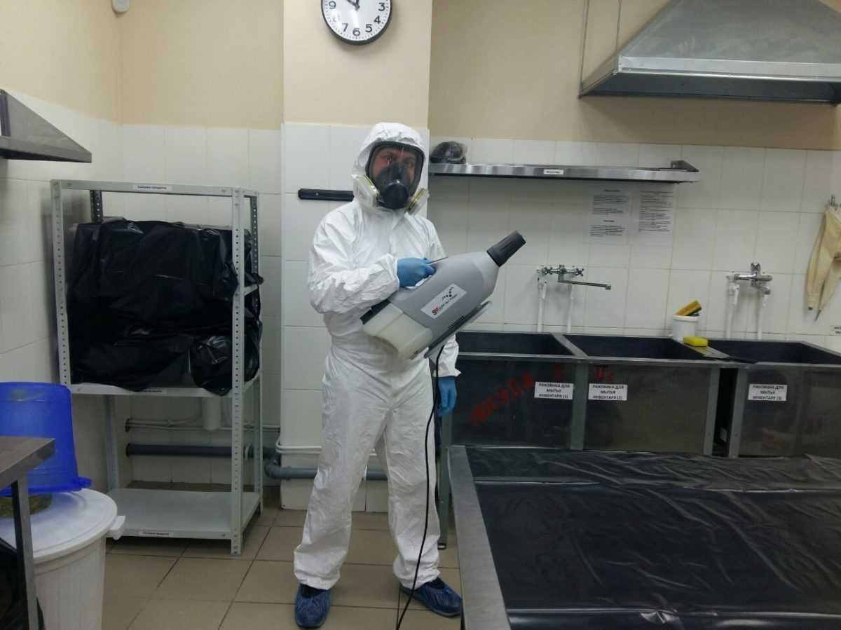 Dezinfeksiya Дезинфекция хизмати klop tarakan chivin pashsha