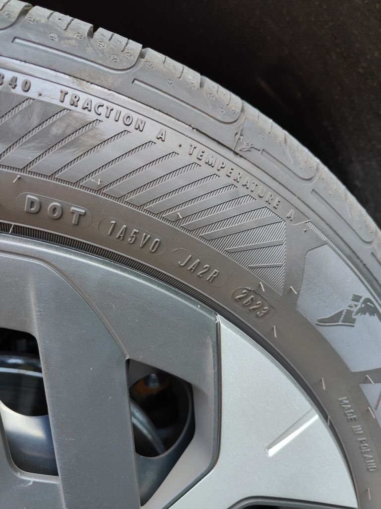 Anvelope Goodyear Efficient Grip