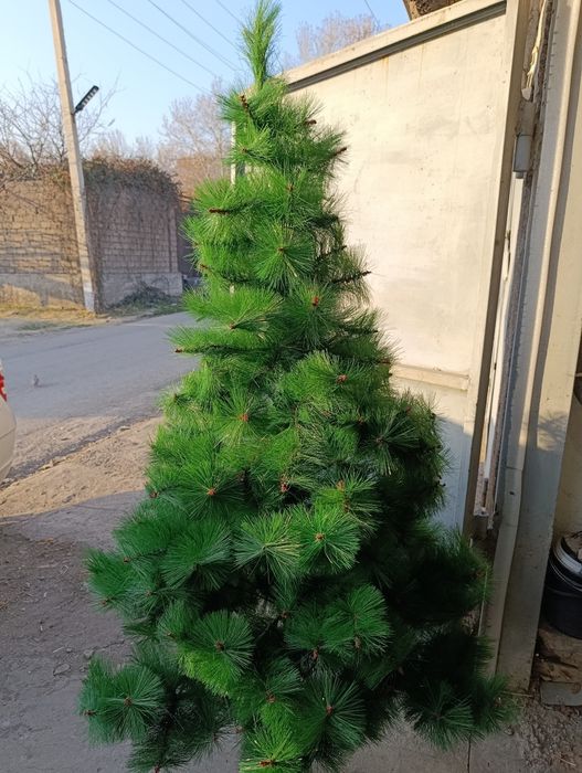 Продается ёлочка на Новогодние праздники