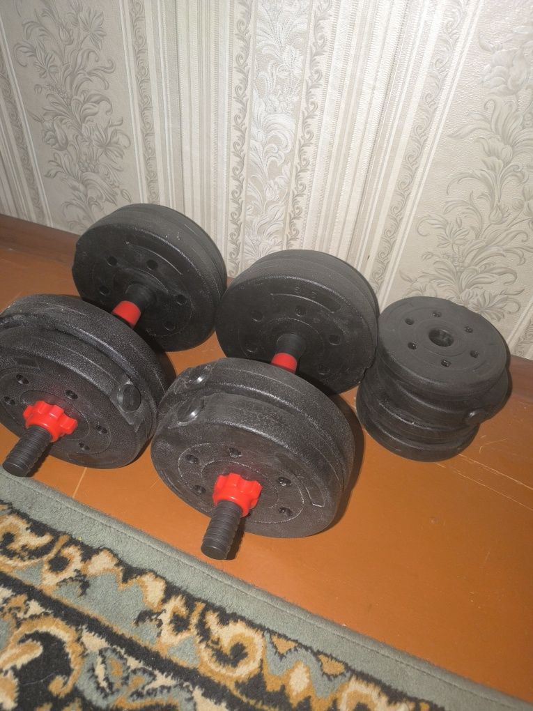 Гантели 10кг 2 штук.