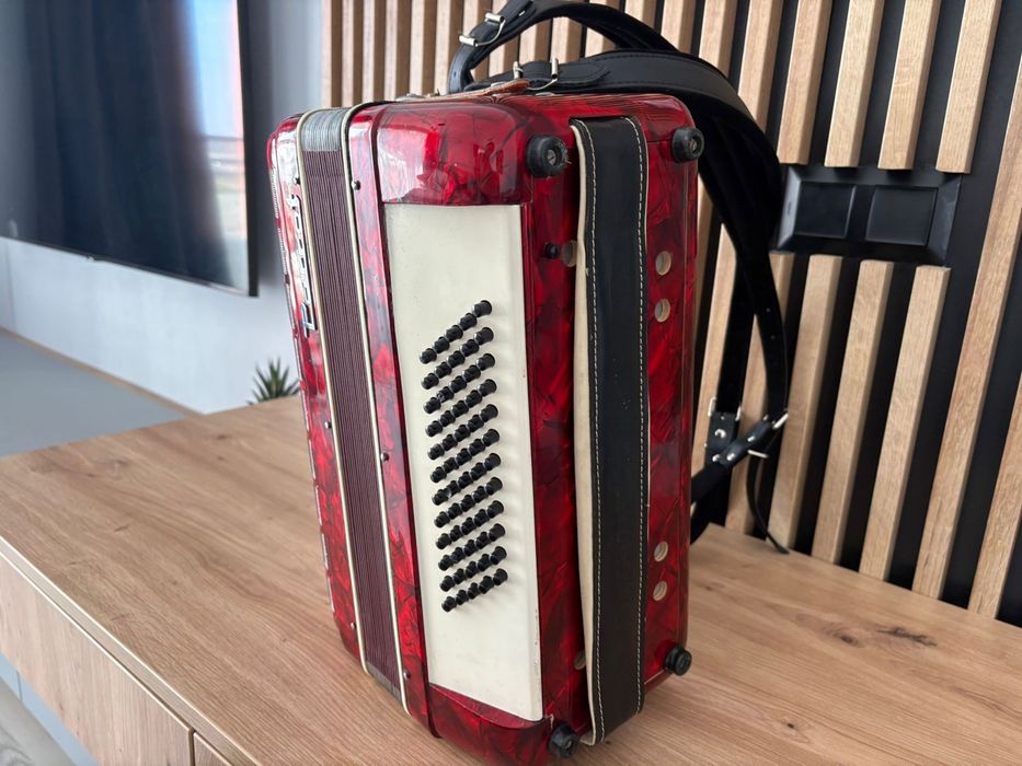 Acordeon Parrot cu 60 de basi