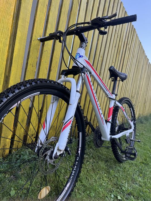 Bicicletă Mountain Bike REMMY – schimbătoare Shimano, frâne pe disc