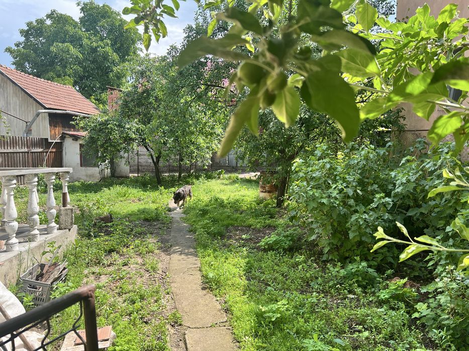 Casa de vanzare Iris