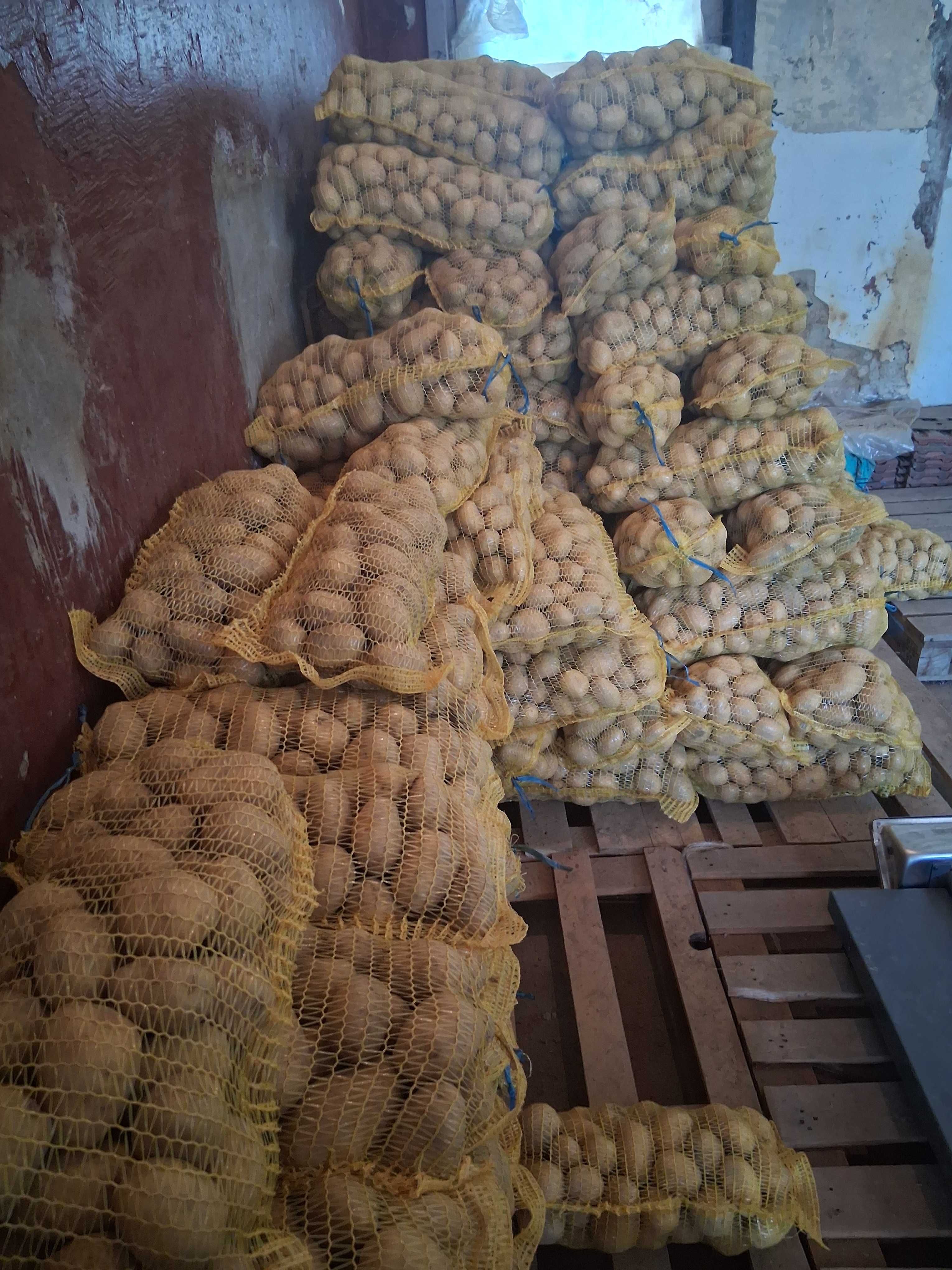 Картофи Сорая за консумация