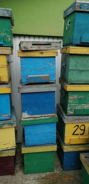 Cutii stupi orizontal și verticali