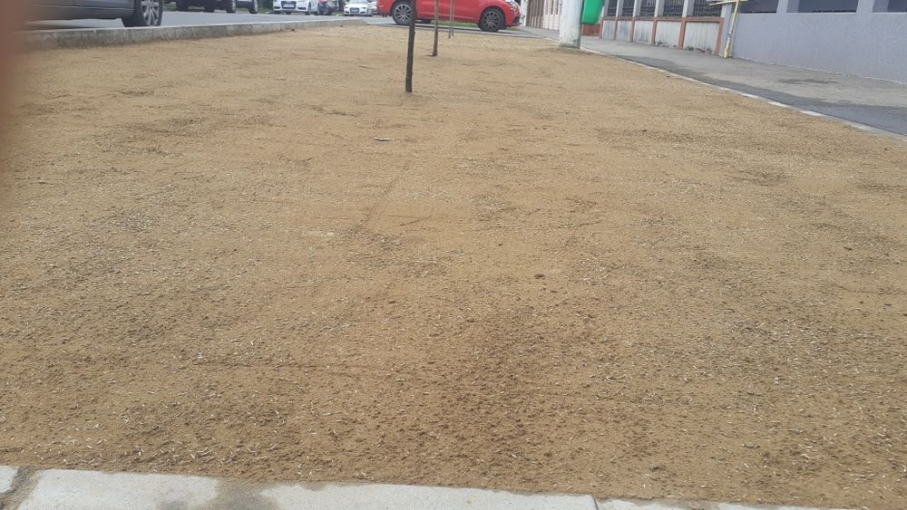 Amenajare curți exterioare cu gazon și piatră