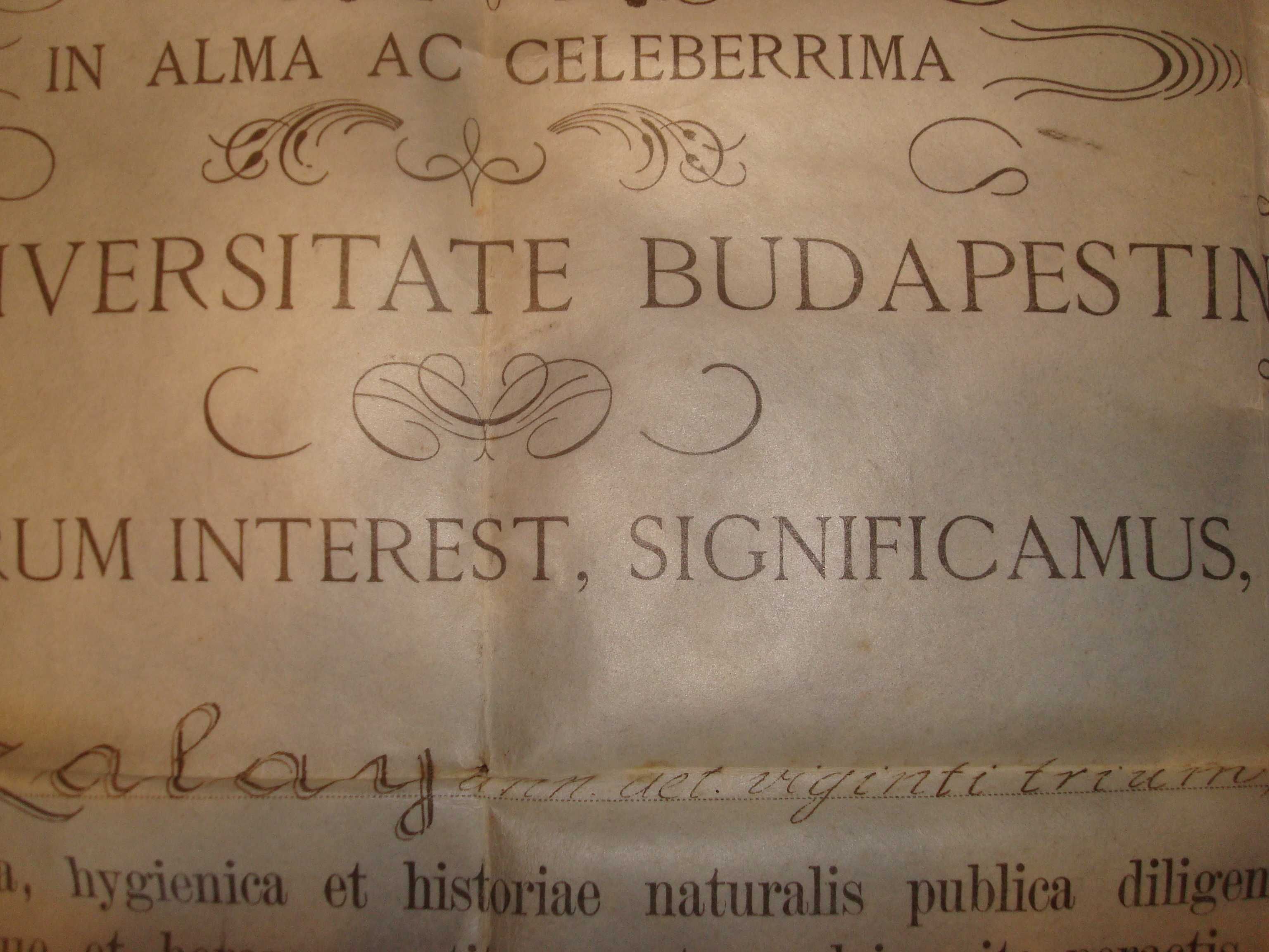 Diploma medicina-farmacie-Universitatea Budapesta- Austro Ungar-1913