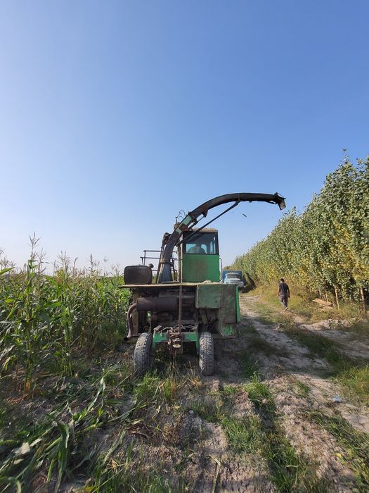 Maral silos kanbayn sotiladi