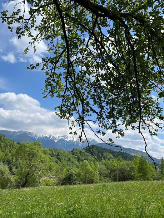 PROPRIETAR - 3274 mp intravilan Simon (BRAN)