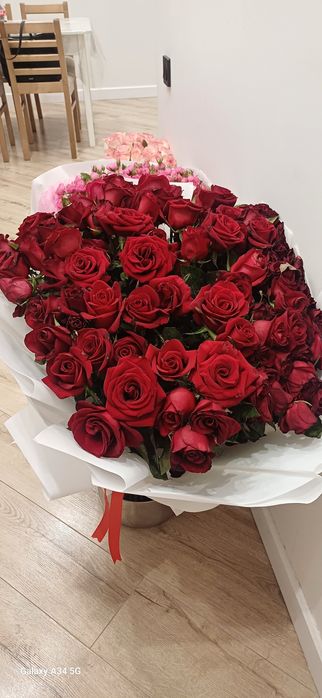 Роза красная 101