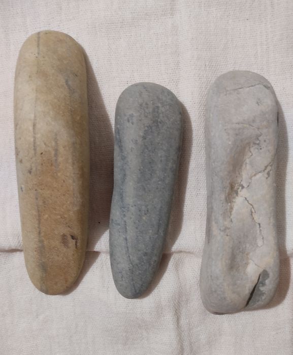 Ракушки натуральные,морские камни для аквариума.За  всё отдам 50 тыс