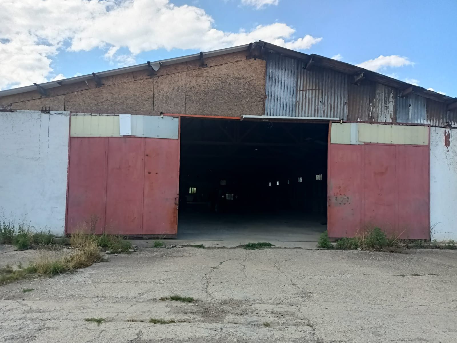 Vand ferma de porcine și abator.