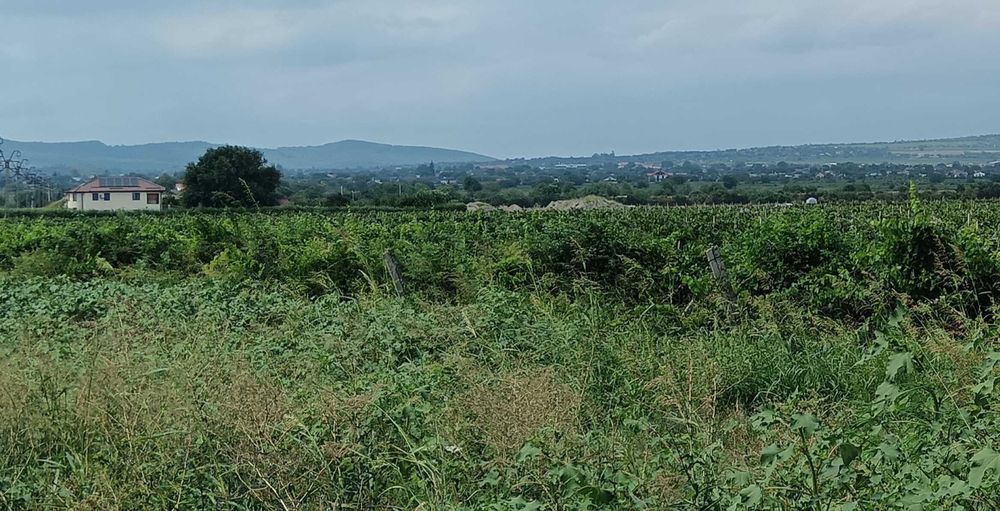 Teren intravilan și extravilan