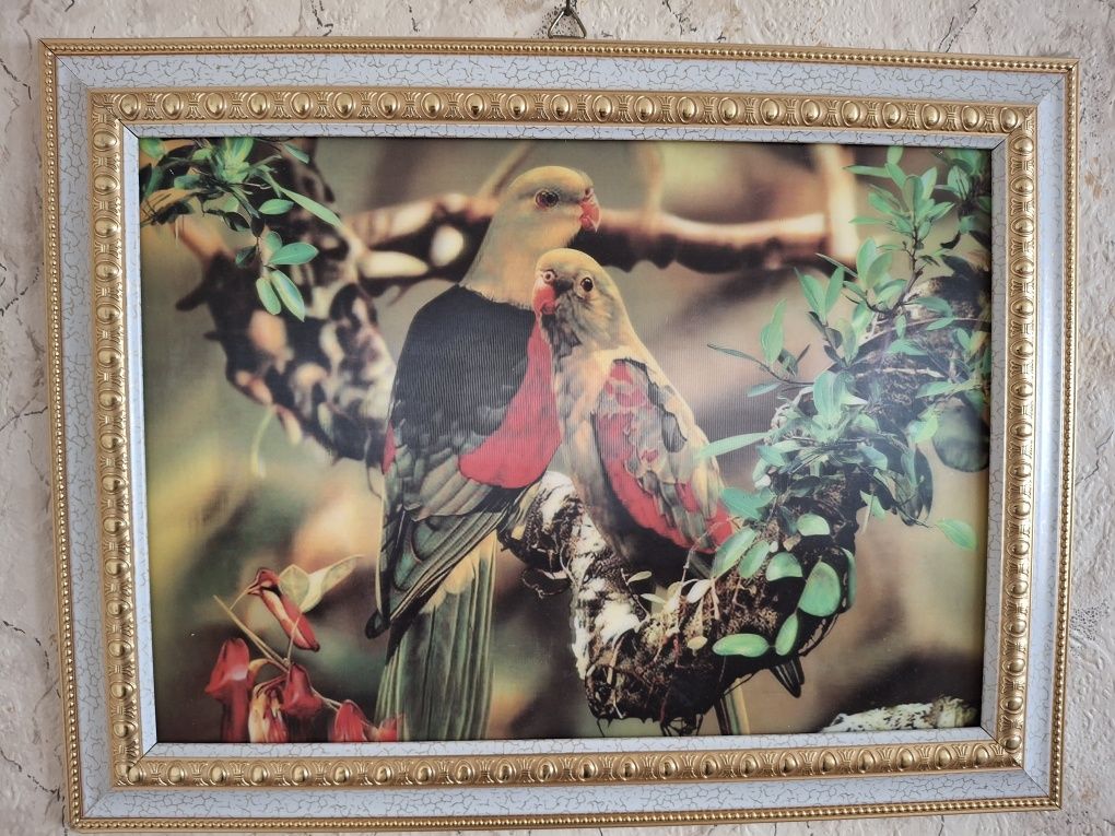 Продам картины разные.