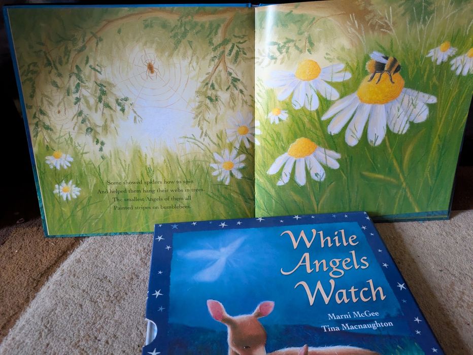 SET 2 Carti in engleza The Snow Angel + while Angels Watch