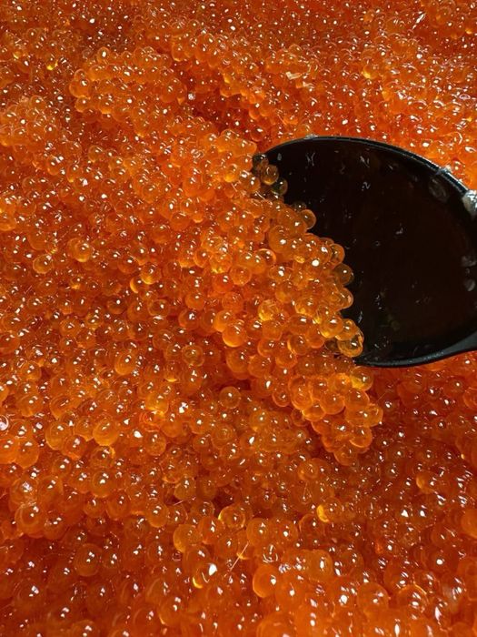 Икра форели Киргизия