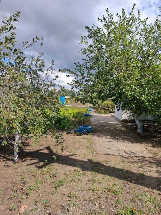 Продаётся Дача в г.Алга