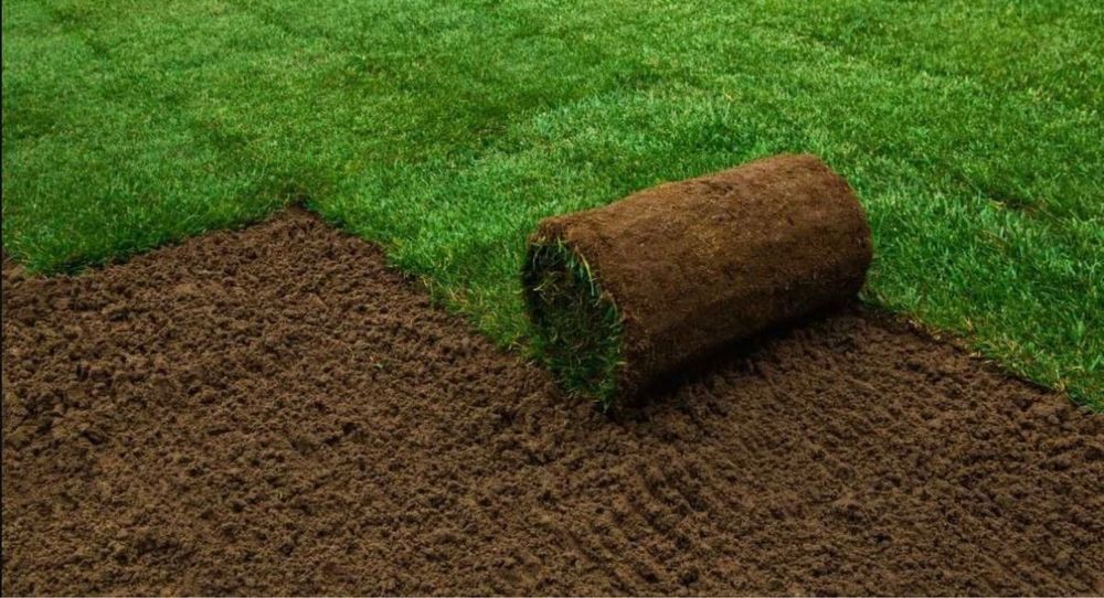 Gazon rulouri - Verde instant pentru grădina ta!