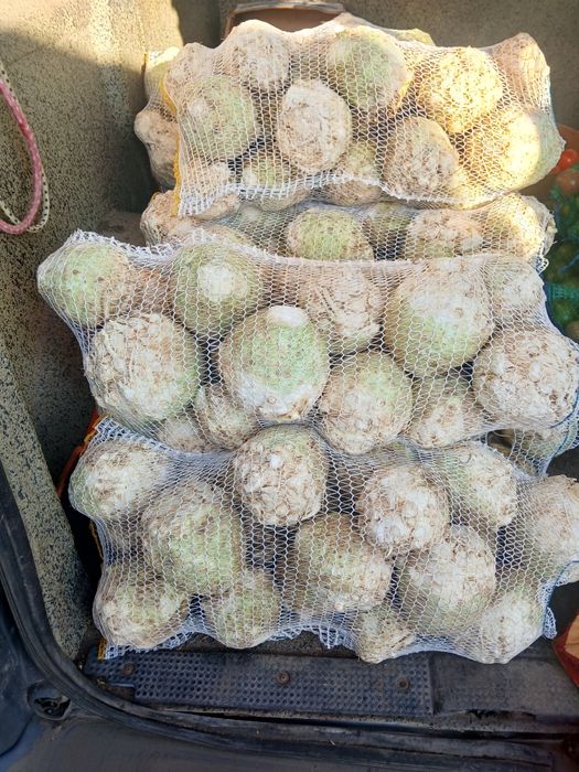 Vând țelină rădăcină sau cu frunze,cantități mari‼️‼️‼️i