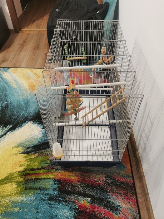 Vând colivie păsări