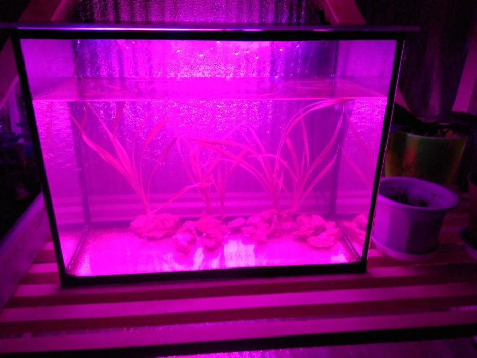 для аквариумов комнатных растений и в теплицы ФИТО освещение LED лампа