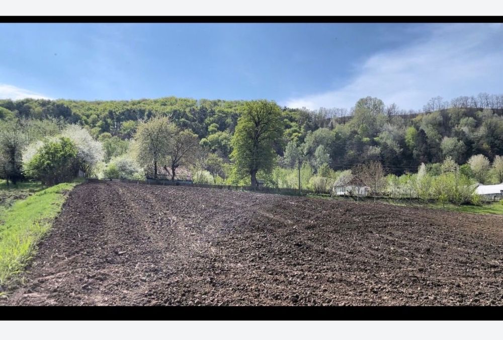 Teren intravilan construibil - 34 ari, zonă linistită langa pădure