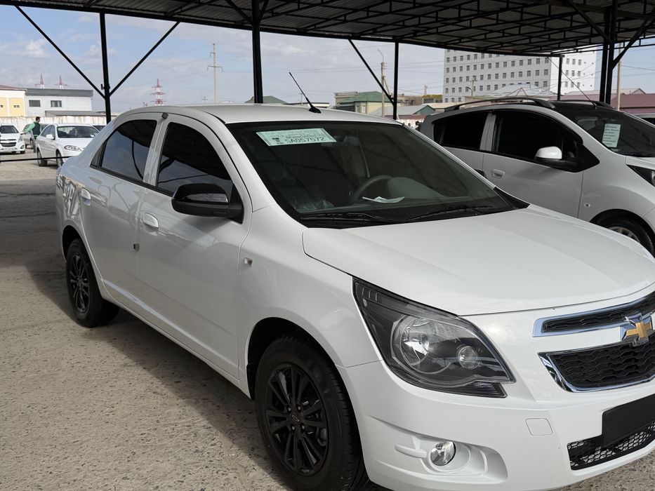 Cobalt Mednayt poket